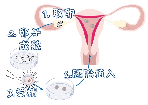 医生